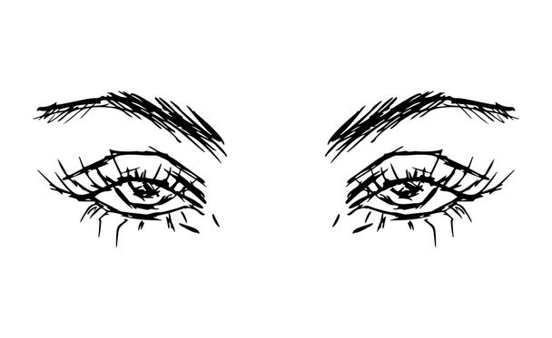 Γυναικεία μάτια και φρύδια. Γυναικείο σχέδιο ματιών. Εικονογράφηση διανύσματος - Διάνυσμα, εικόνα