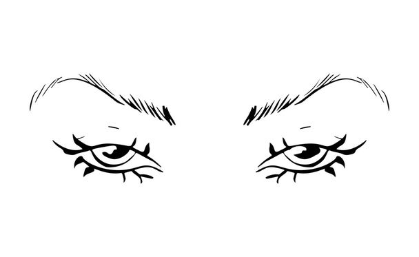 Γυναικεία μάτια και φρύδια. Γυναικείο σχέδιο ματιών. Εικονογράφηση διανύσματος - Διάνυσμα, εικόνα