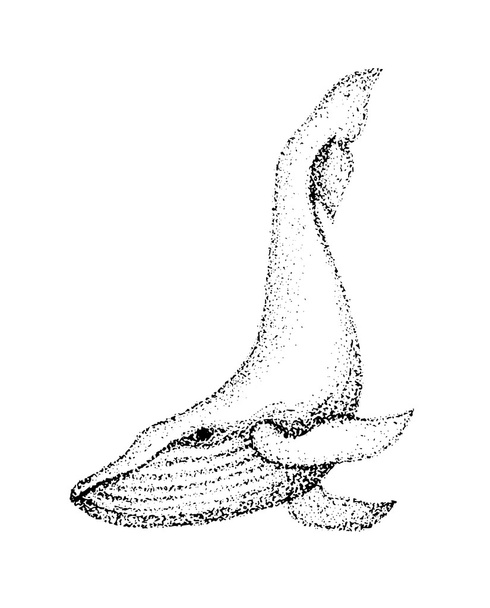 Sketch of whale. Dot artwork - Vector, Image