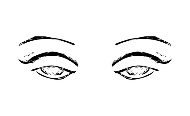 Naissilmät ja kulmakarvat. Naiset silmät suunnittelu. Vektoriesimerkki - Vektori, kuva