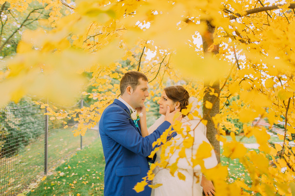 Romantic kiss of newly married couple under autumn tree with yellow leaves - Foto, Imagem