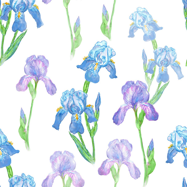 Watercolor iris flower seamless pattern isolated on white background. - Фото, зображення
