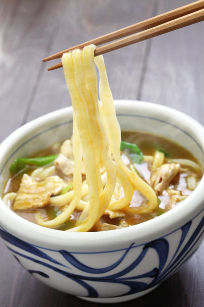 κάρι udon, Ιαπωνικά noodles - Φωτογραφία, εικόνα