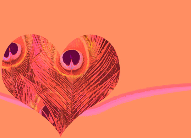 Corazón de pluma de pavo real
 - Foto, imagen