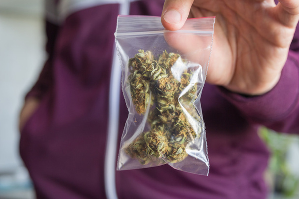 Ember kereskedelmi marihuána rügyek mutatja a FÜTYÜLÉS csomag - Fotó, kép