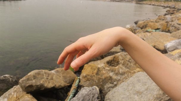 Lähikuva kauniin naisen käsi, ylösalaisin avoin kämmen
 - Valokuva, kuva