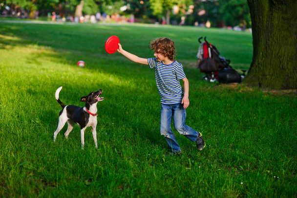 The little fellow trains a dog in park. - Фото, изображение