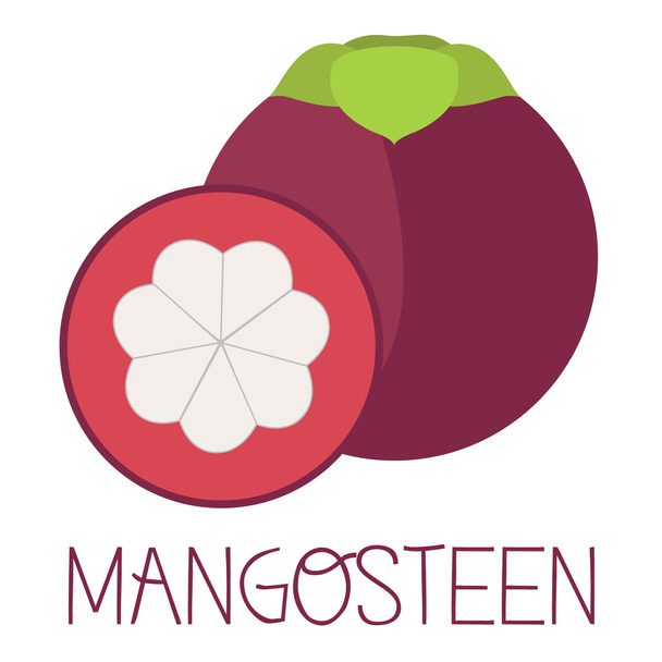 Mangosteen fruit illustraton - Vector, Image