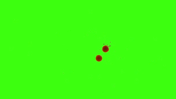 Drops of Blood Drip on the Green Background - Footage, Video