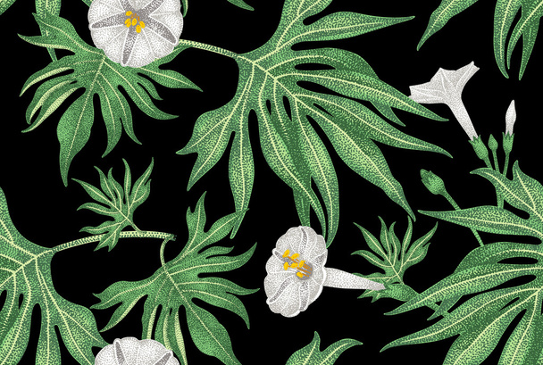 Vector seamless floral pattern in vintage style. - Vector, imagen