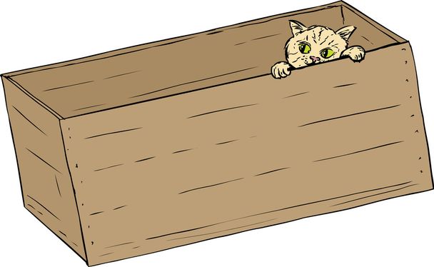 Tabby kitten peeking from edge of crate - Vektor, obrázek