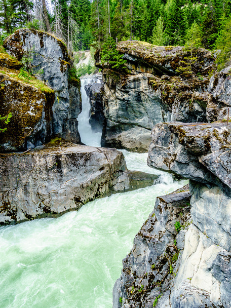 Il fiume Lillooet che scende a cascata lungo le cascate Nairn Falls nel parco provinciale di Nairn Falls
 - Foto, immagini