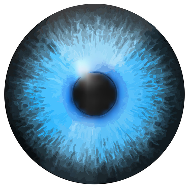 Irisvektortextur des Auges - Vektor, Bild