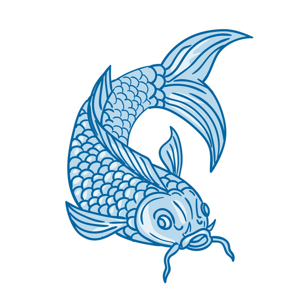 koi nishikigoi Karpfenfische tauchen nach unten Zeichnung - Vektor, Bild