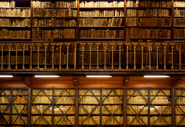 Книжные полки в библиотеке
 - Фото, изображение