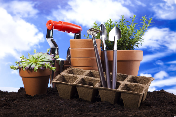 Set of garden tools - Фото, изображение