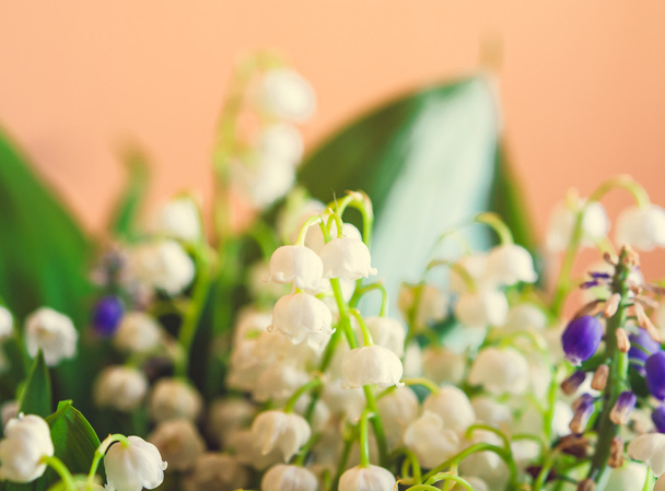 Bouquet of lilies of the valley on the light background. Spring  - Photo, Image