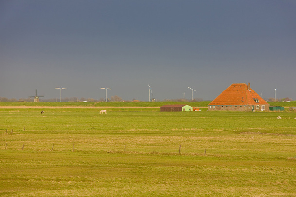 Вітряні млини, Нідерланди
 - Фото, зображення