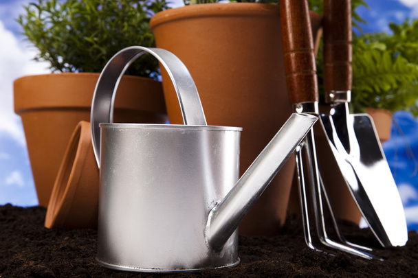 Watering Can And Garden - Foto, afbeelding