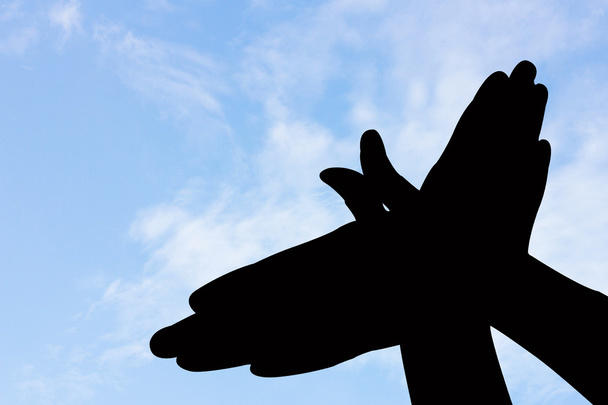 пташиної форми ручний силует в блакитному небі і хмарі
. - Фото, зображення
