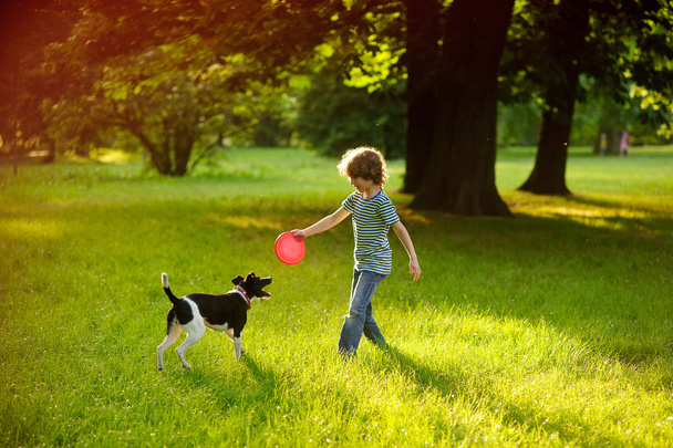 The little fellow trains a dog in park. - Foto, imagen