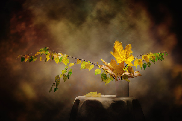 Still Life Autumn concept image from the leaves of birch and map - Photo, Image