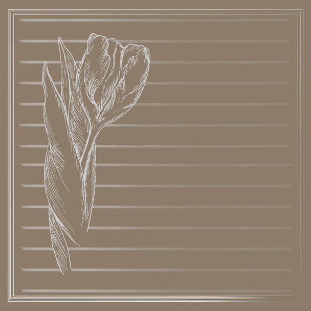 Graphic flower, sketch of tulip on beige background. Vector floral illustration in vintage style. Hand drawn artwork. Template for wedding invitation, card, congratulation, greeting. Place for text.  - Wektor, obraz