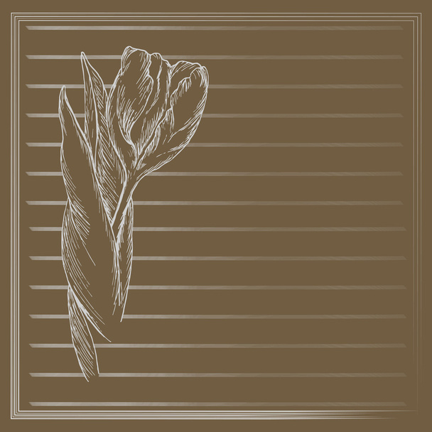 Graphic flower, sketch of tulip on brown background. Vector floral illustration in vintage style. Hand drawn artwork. Template for wedding invitation, card, congratulation, greeting. Place for text.  - Wektor, obraz