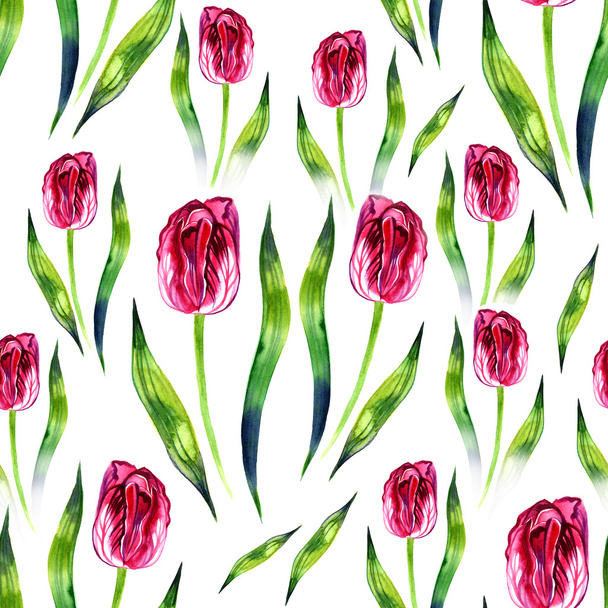 Beautiful delicate purple tulip. Watercolor. Illustration - Foto, immagini