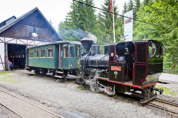 Locomotive a vapore, Museo del villaggio di Kysuce, Vychylovka, Slovaki
 - Foto, immagini