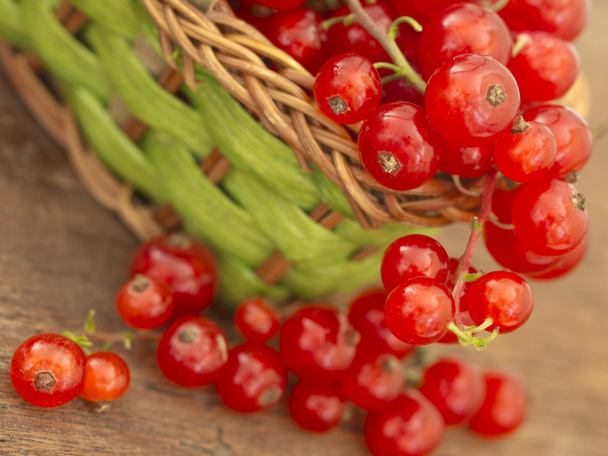 Red currants - Фото, изображение