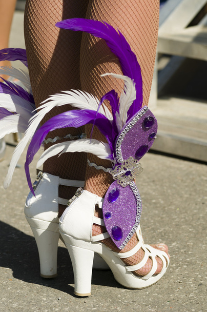 Scarpe da ballerina piumate
 - Foto, immagini