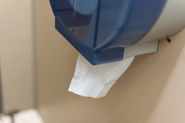 Toaletní papír nebo tkáně - Fotografie, Obrázek