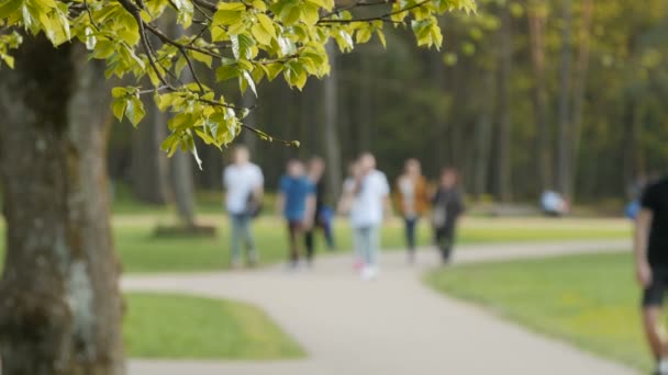 Blurred background of people activities in park with bokeh, spring and summer season - Footage, Video