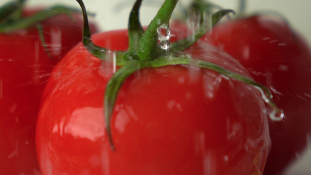 Super slow-motion shot van water spatten op rode rijpe tomaat met groene bladeren - Video