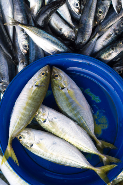 Φρέσκα θαλασσινά στην πλάκα πώληση στο χωριό αγοράς αλιείας, το ψάρι σε μια αγορά - Φωτογραφία, εικόνα