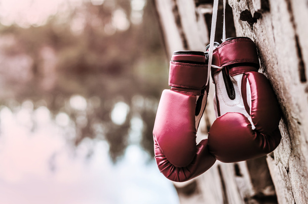 Boxerské rukavice jsou zavěšeny na skále - Fotografie, Obrázek