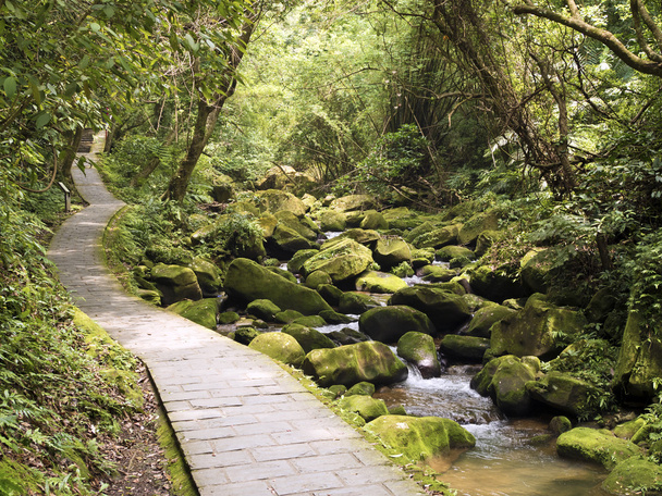 stream Da Gou Xi läpi sammaltava kiviä metsässä
 - Valokuva, kuva