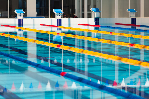 Lanes of a competition swimming pool - 写真・画像