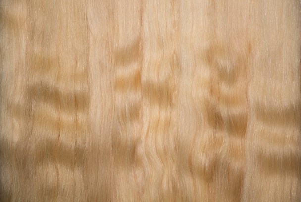 backround ξανθά μαλλιά - Φωτογραφία, εικόνα