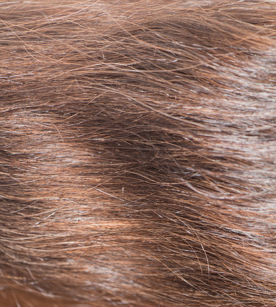 οριζόντια μαλλιά backround - Φωτογραφία, εικόνα