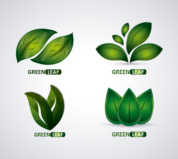 set of green leves design. nature icon. White background, graphic vector - Вектор, зображення