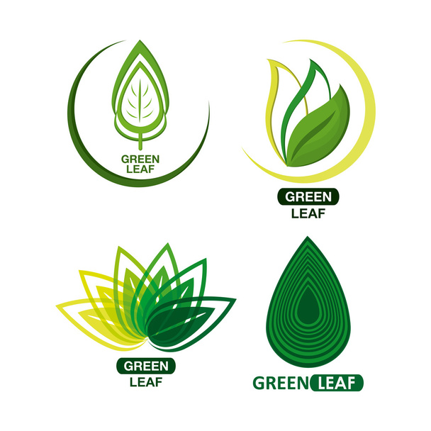 set of green leves design. nature icon. White background, graphic vector - ベクター画像