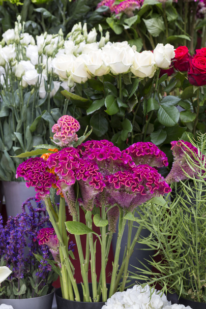 Fresh flowers in front of a flower shop - Photo, Image