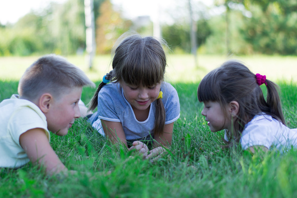 children playing on the grass - 写真・画像