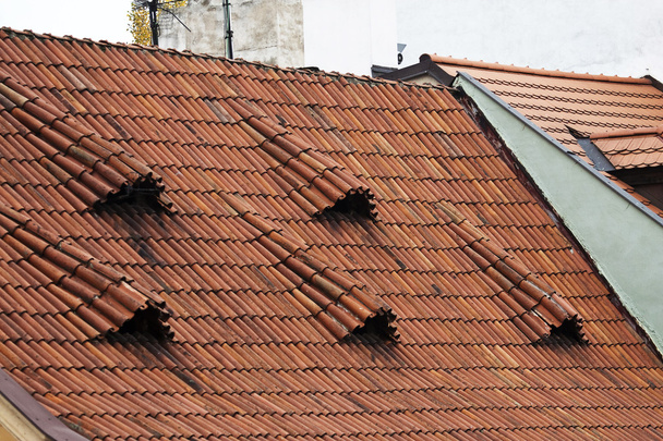 Prague. Red roofs. - Photo, Image