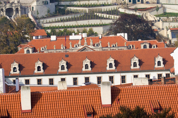 Prague. Red roofs - Zdjęcie, obraz
