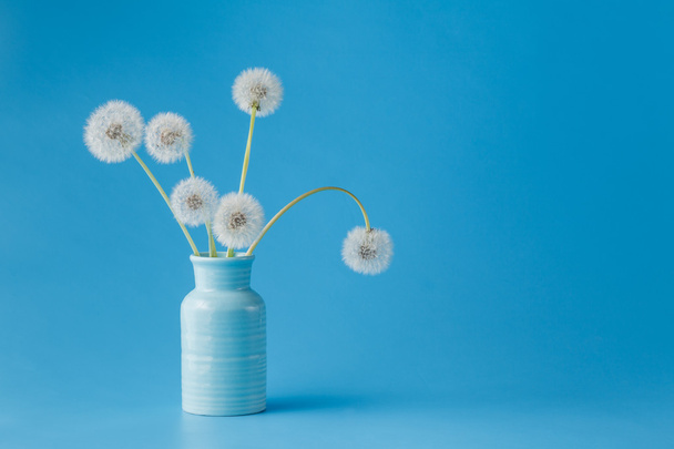 Dandelions on blue background - Foto, afbeelding