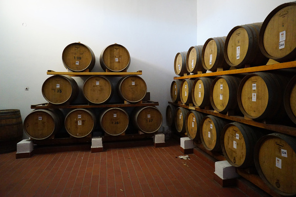 Kellari viiniä ikääntyminen tynnyreissä Pyrgos, Santorini
. - Valokuva, kuva