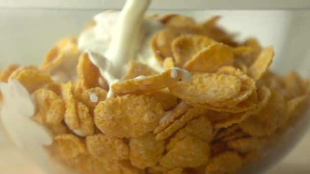 Adding some milk to corn flakes in glass bowl super slow motion shot - Video